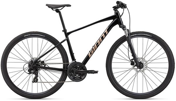 Xe đạp địa hình thể thao Giant Roam 4 Disc 2022